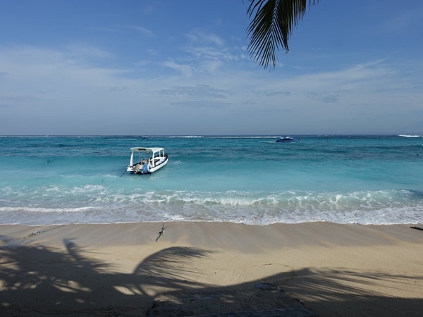 サムネイルブログ