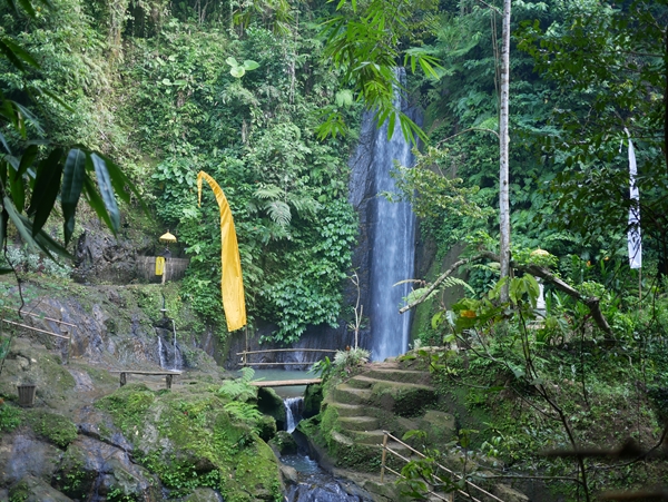 サムネイルブログ