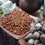 サムネイルブログ