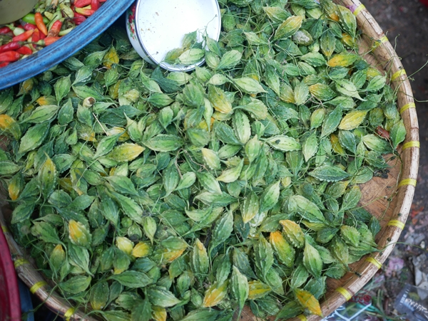 サムネイルブログ