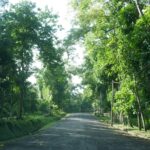 サムネイルブログ