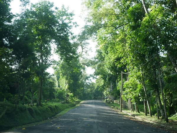 サムネイルブログ