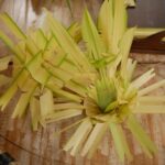 サムネイルブログ