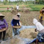 サムネイルブログ