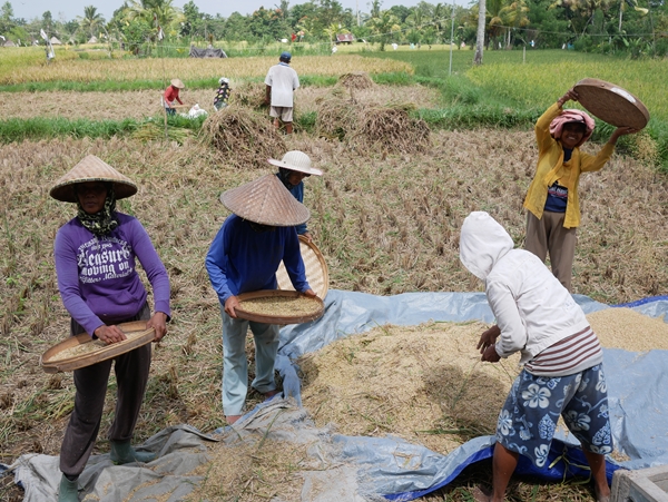 サムネイルブログ