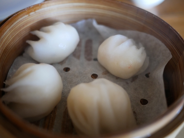 サムネイルブログ