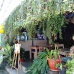 サムネイルブログ