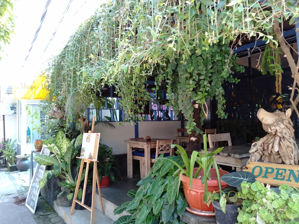 サムネイルブログ