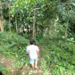 サムネイルブログ