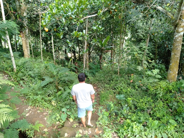 サムネイルブログ