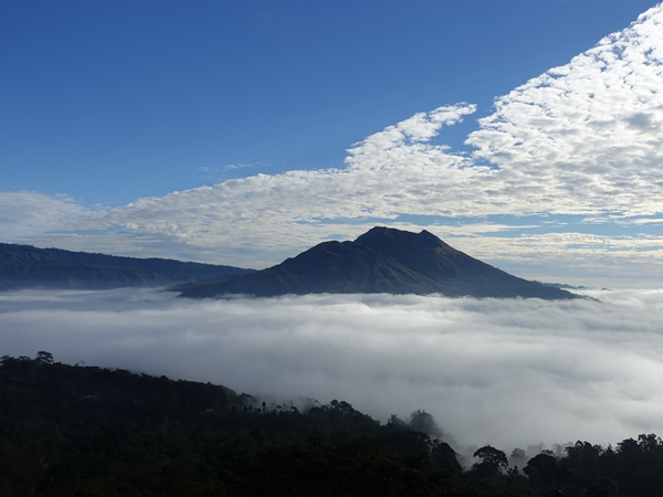 サムネイルブログ