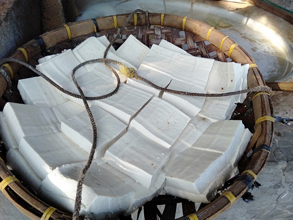 サムネイルブログ