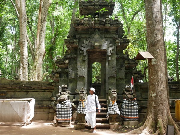 サムネイルブログ