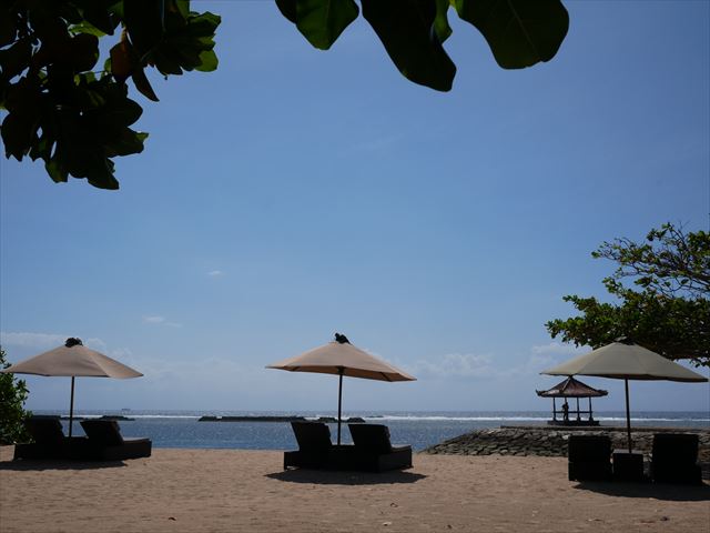 サムネイルブログ