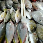 サムネイルブログ