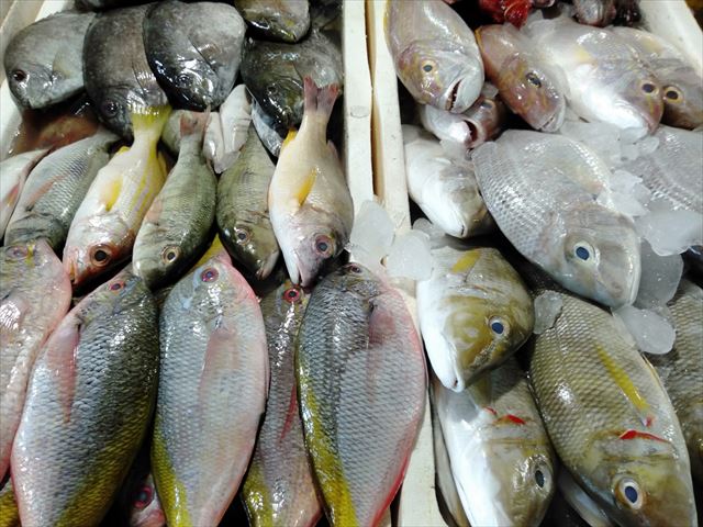 サムネイルブログ