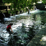 サムネイルブログ