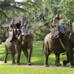 サムネイルブログ