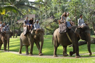 サムネイルブログ