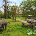 サムネイルブログ