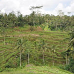 サムネイルブログ