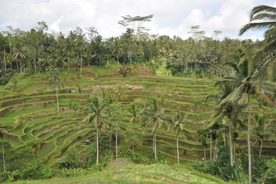 サムネイルブログ