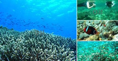 サムネイルブログ