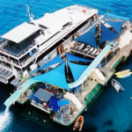 サムネイルブログ